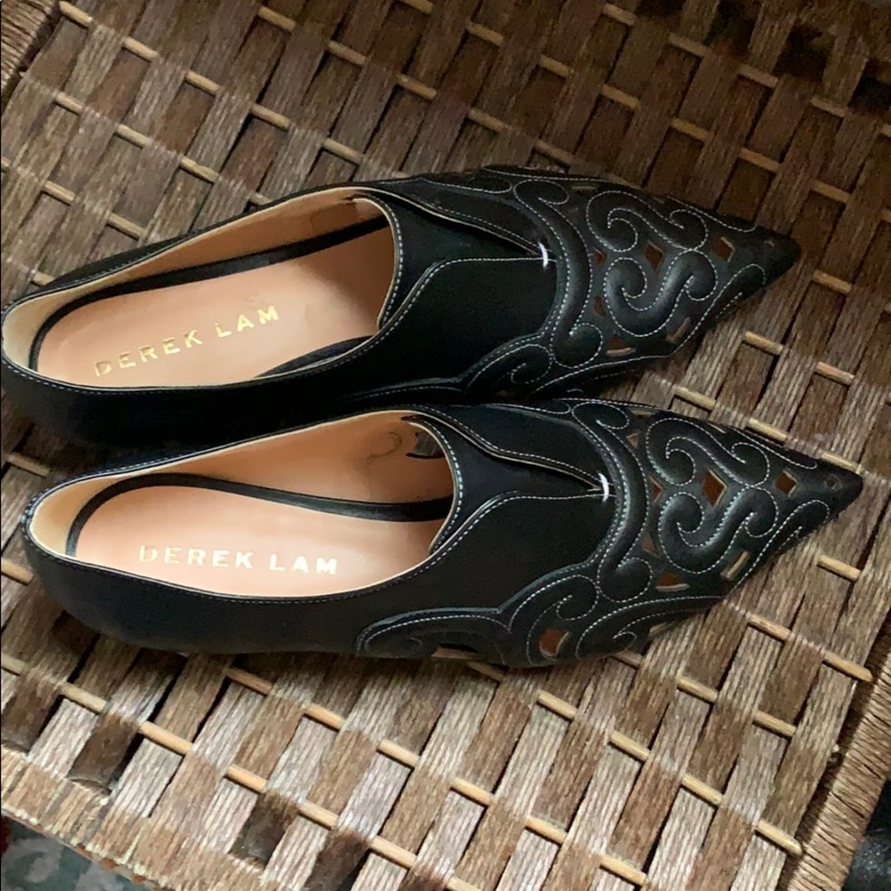 Derek Lam Kyoto flats size 9.5